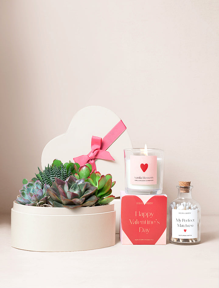 Valentine's Day Heart Garden & Candle & Matches