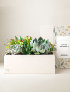Urban Garden
