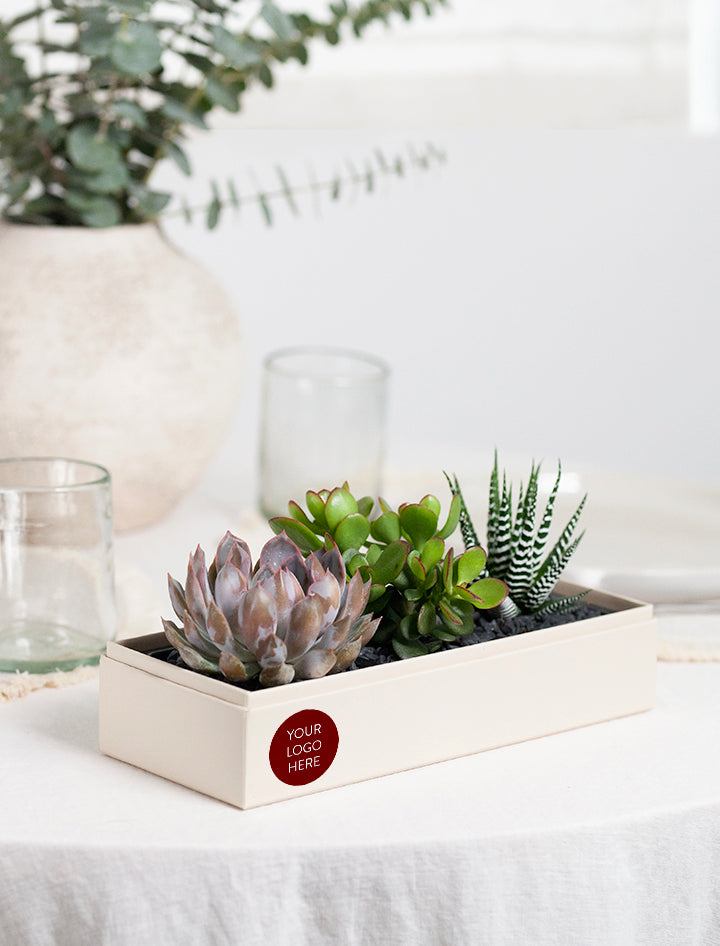 Holiday Corporate Verdant Garden