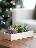 Holiday Verdant Garden