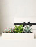 Corporate Verdant Garden - Image 