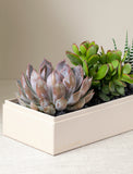 Holiday Verdant Garden - Image 