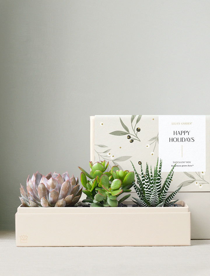 Holiday Corporate Verdant Garden
