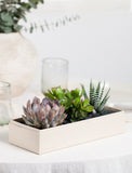 A rectangular cream-colored planter box containing a small arrangement of green succulents and a striped cactus, styled on a white tablecloth with a blurred vase and glass in the background. - Image 
