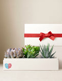 Fourth of July Verdant Garden - Image 