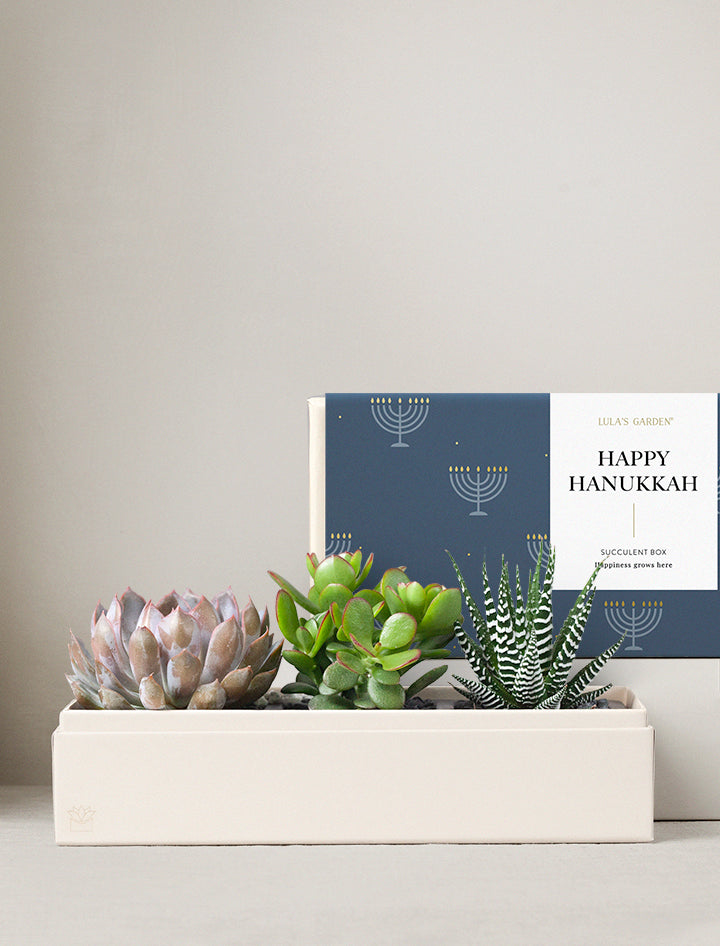Hanukkah Verdant Garden