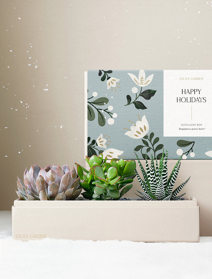 Holiday Verdant Garden
