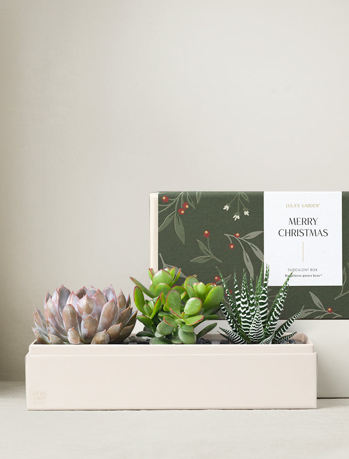 Christmas Verdant Garden