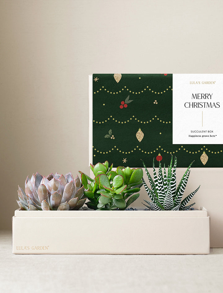 Christmas Verdant Garden