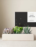 Three assorted succulents in a cream-colored planter box next to a black Happy New Year gift box with gold star accents. - Image 