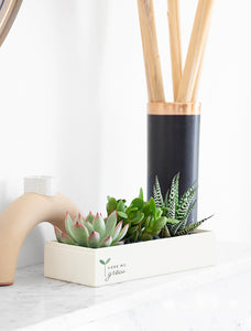 Back to School Verdant Garden