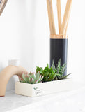 Back to School Verdant Garden