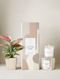 Plant next to gift box and candle. - Image 