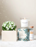 Holiday gift set featuring a white Kalanchoe plant, a Winter Forest scented candle, and a glass bottle of matches. - Image 