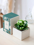 White Kalanchoe plant in a square gift box with a teal, holiday-themed lid featuring floral and dove illustrations. - Image 