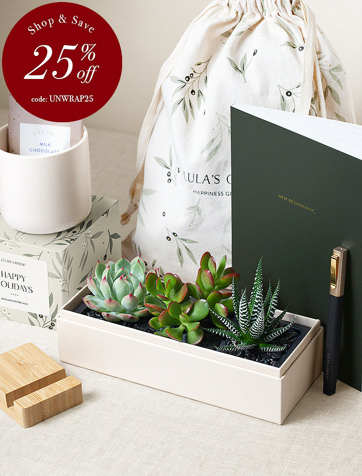 Workspace Gift Set - Merry Christmas