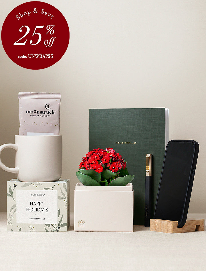 Workspace Gift Set - Merry Christmas