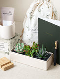 Workspace Gift Set - Merry Christmas
