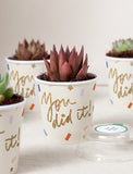Lula's Favors 6-Pack Succulents - You Did It - Image 