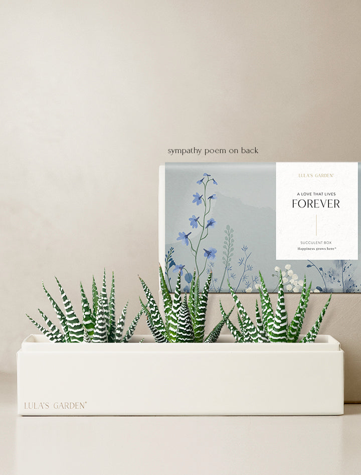 succulent plant poem Succulent and Cacti Gift Delivery | Deluxe Zebra Garden