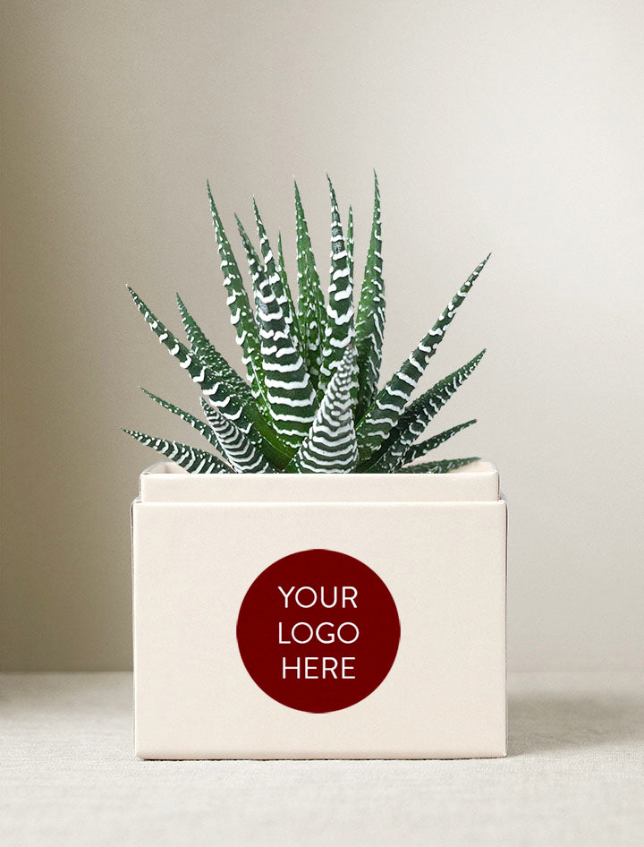 Holiday Corporate Petite Zebra Garden
