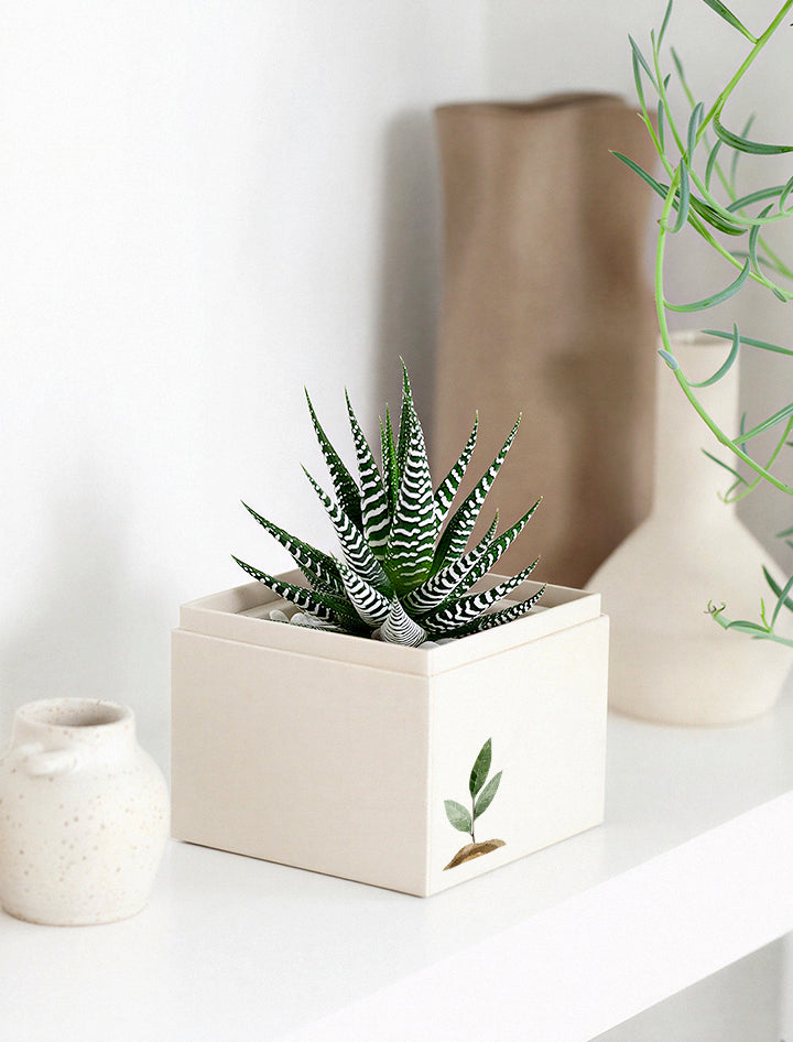 SRLSTRAIGHTTYPE PLANT POT-Lvaliemカタチ製作所 Tapered Shallow Type Plant Pot-S' SRL (Black) – MELLOWIST