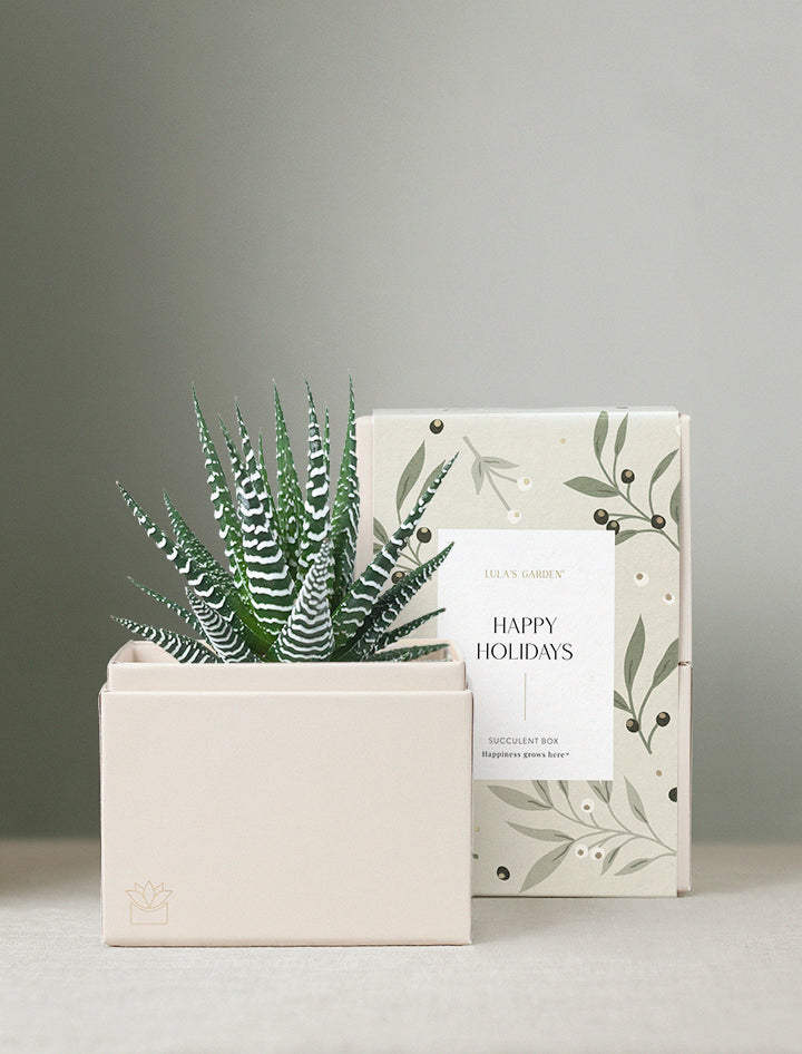Holiday Petite Zebra Garden
