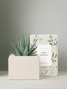 Holiday Petite Zebra Garden