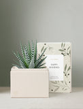 Holiday Petite Zebra Garden