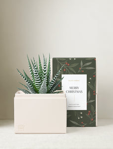 Christmas Petite Zebra Garden