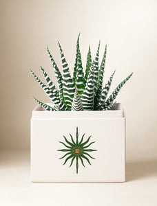 Summer Sun Petite Zebra Garden