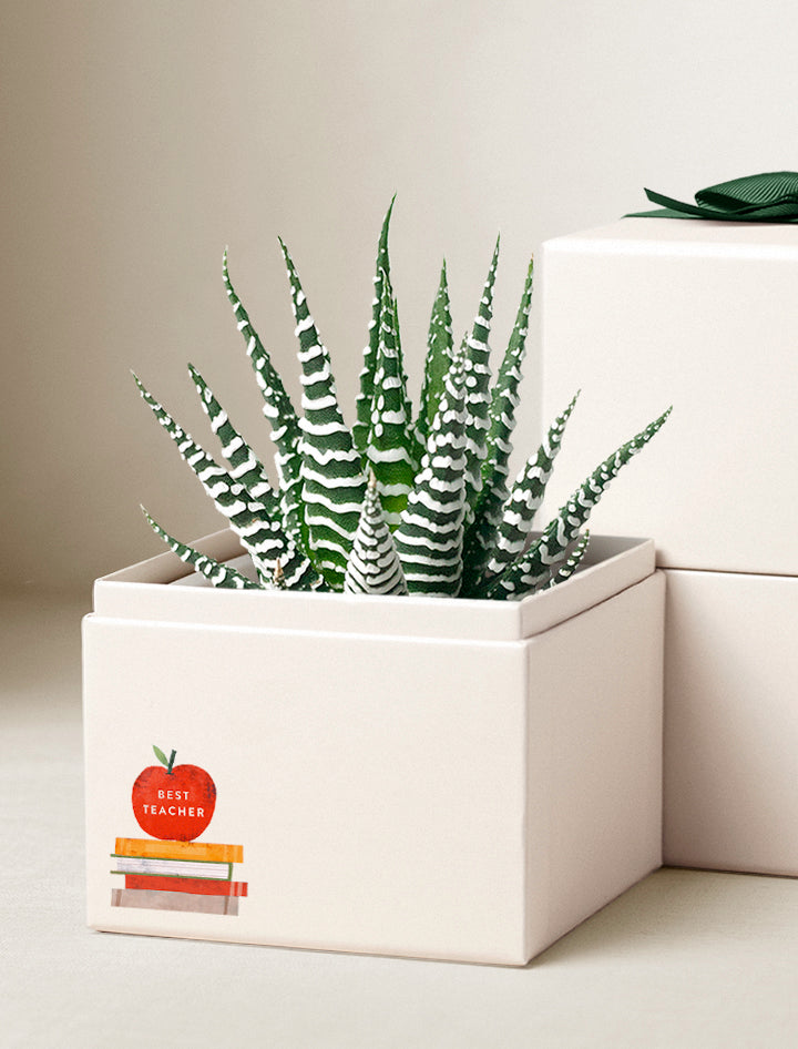 teacher planter pot Best Teacher Ever Gift | Teacher Appreciation Gifts | Thank you Gift Ideas