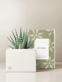 Petite Zebra Garden
