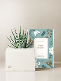 A potted succulent plant in a white rectangular planter box, styled next to its illustrated holiday-themed packaging box by Lula's Garden. - Image 