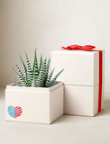 Fourth of July Petite Zebra Garden - Image 