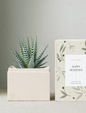 Holiday Petite Zebra Garden