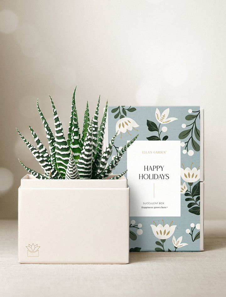 Holiday Petite Zebra Garden