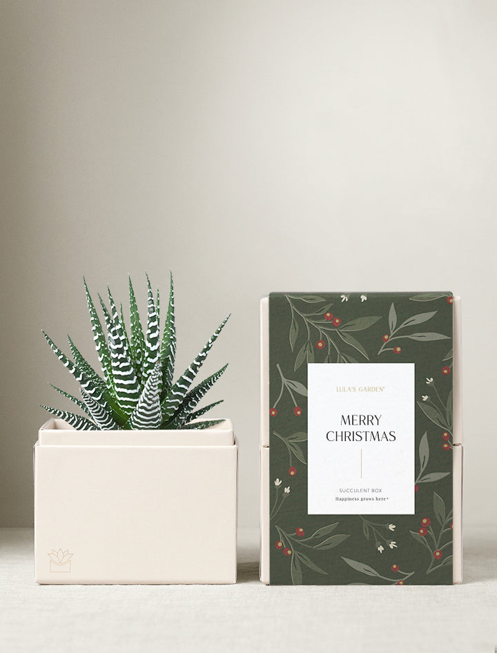 Christmas Petite Zebra Garden