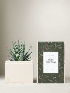 Christmas Petite Zebra Garden