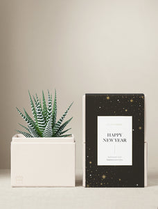 New Year's Petite Zebra Garden