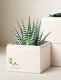 Wellness Month Petite Zebra Garden - Image 