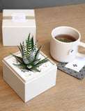 Teacher Appreciation Gift Set