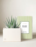 Father's Day Petite Zebra Garden - Image 