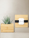 Striped succulent in a bamboo planter next to a bamboo keepsake box with a With Sympathy ribbon and tag. - Image 