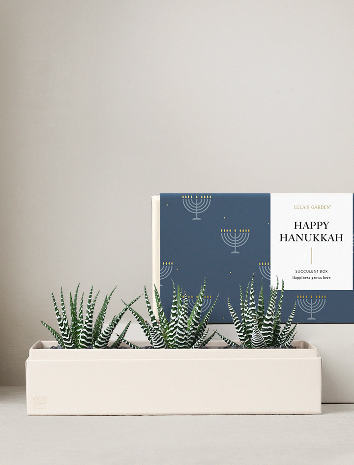 Hanukkah Deluxe Zebra Garden