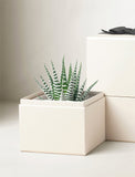 Corporate Zen Garden - Image 