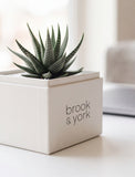 A small green succulent plant in a square white planter with the text 'brook & york' printed on the front, placed on a light tabletop in a softly blurred indoor setting. - Image 
