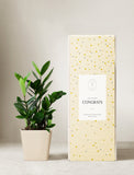 Plant in ceramic planter with gift box next to it. - Image 