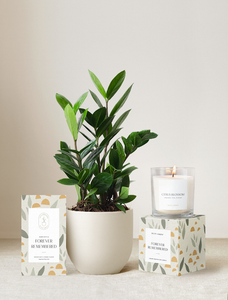 Forever Remembered Plant Gift Set