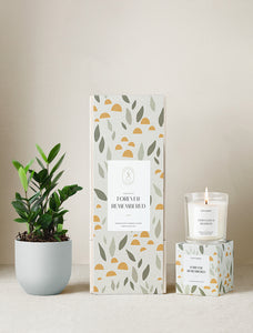 Forever Remembered Plant Gift Set
